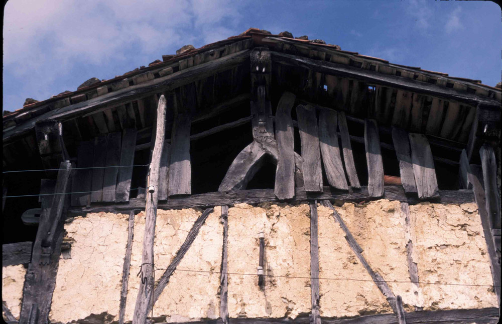 historia bizkar 2
