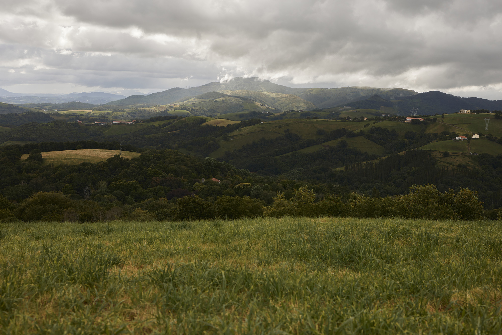 PRADERA 2